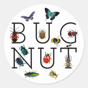 Sticker rond classique de noix de cochon