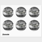 Sticker rond classique F-22 RAPTOR (Feuille)