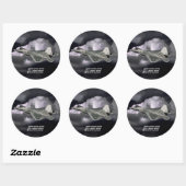 Sticker rond classique F-22 RAPTOR (Feuille)