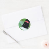 Sticker rond classique/fermeture postale (Enveloppe)