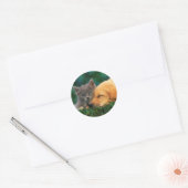 Sticker rond classique, lustré chat et chien migno (Enveloppe)