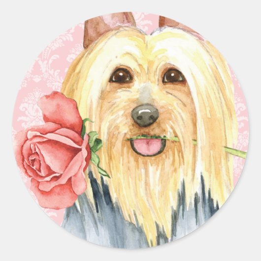 Sticker rond classique Silky Terrier Rose Valentin (Devant)