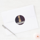 Sticker Rond Clavier chat frappe à nouveau (Enveloppe)