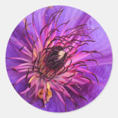 STICKER ROND CLEMATIS (Devant)