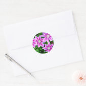 Sticker Rond Clematis rose et Oregano sauvage (Enveloppe)