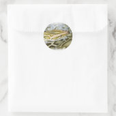 Sticker Rond Closeup de python indien (Sac)
