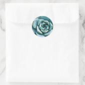 Sticker Rond Closeup Succulent (Sac)