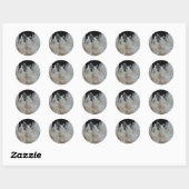 Sticker Rond Cluster Crystal Energy Quartz (Feuille)