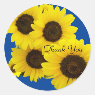 Sticker Rond Cluster de tournesols sur le Merci bleu