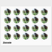 Sticker Rond Clydesdale et Filly (Feuille)