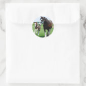 Sticker Rond Clydesdale et Filly (Sac)