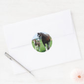 Sticker Rond Clydesdale et Filly (Enveloppe)
