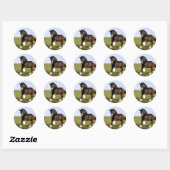 Sticker Rond Clydesdale Horse (Feuille)