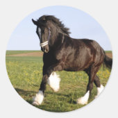 Sticker Rond Clydesdale Horse (Devant)