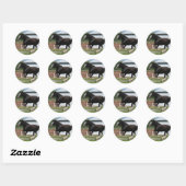 Sticker Rond Clydesdale noire (Feuille)
