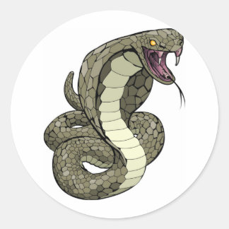 Sticker Rond Cobra serpent sur le point de frapper