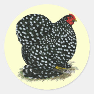 Sticker Rond Cochin a chiné la poule