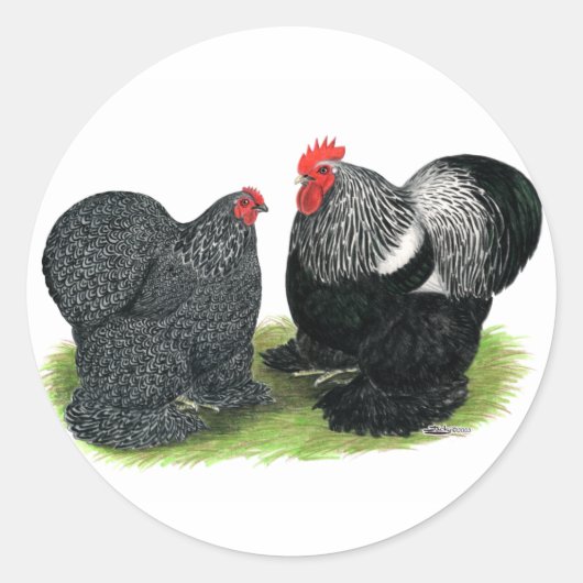 Sticker Rond Cochins : crayonnés d'argent (Devant)