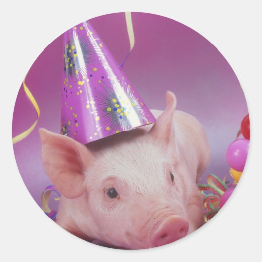 Sticker Rond Cochon de fête drôle (Devant)