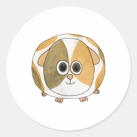 Sticker Rond Cochon de Guinée. (Devant)