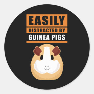 Sticker Rond Cochon de Guinée Facilement Distrait Par Les Coc