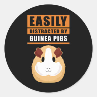 Sticker Rond Cochon de Guinée | Facilement Distrait Par Les Coc