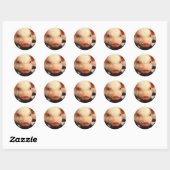 Sticker Rond Cochon de porc adorable face Snout (Feuille)