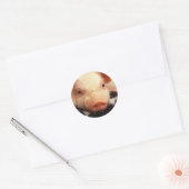Sticker Rond Cochon de porc adorable face Snout (Enveloppe)