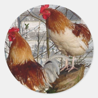 Sticker Rond Cock-a-doodle-do