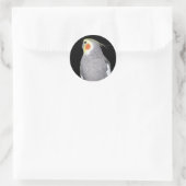 Sticker Rond Cockatiel d'oiseaux animaux domestiques (Sac)