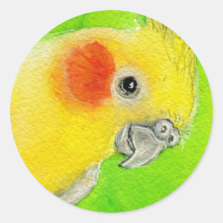 Sticker Rond Cockatiel Peek-a-boo