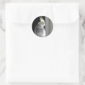Sticker Rond Cockatiel pie (Sac)