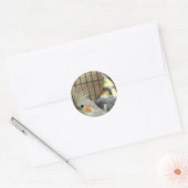 Sticker Rond Cockatiles (Enveloppe)
