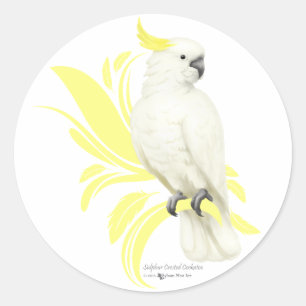 Sticker Rond Cockatoo à pois de soufre