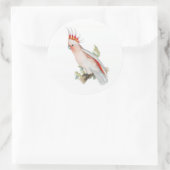 Sticker Rond Cockatoo Art Vintage (Sac)