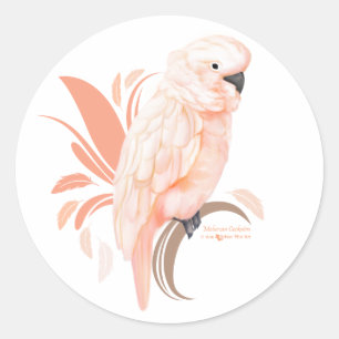 Sticker Rond Cockatoo Moluccan
