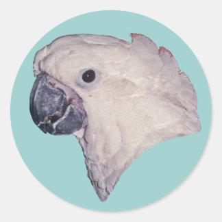 Sticker Rond Cockatoo Parapluie