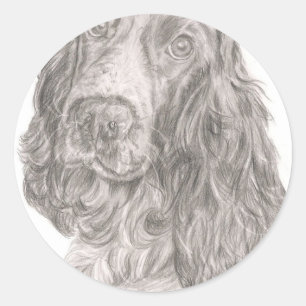 Sticker Rond Cocker Spaniel