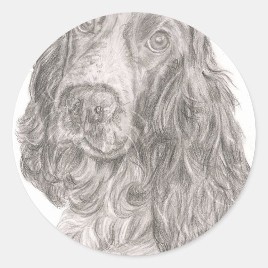 Sticker Rond Cocker Spaniel (Devant)