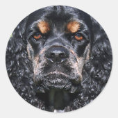 Sticker Rond Cocker Spaniel (Devant)