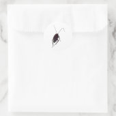 Sticker Rond Cockroach croquant (Sac)