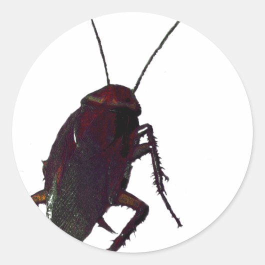 Sticker Rond Cockroach croquant (Devant)