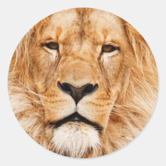 Sticker Rond Coeur du lion