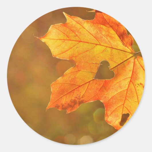 Sticker Rond Coeur feuille d'érable (Devant)