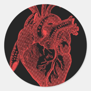 Sticker Rond Coeur noir anatomique