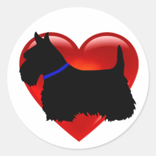 Sticker Rond Coeur noir/blanc de Terrier écossais, col bleu