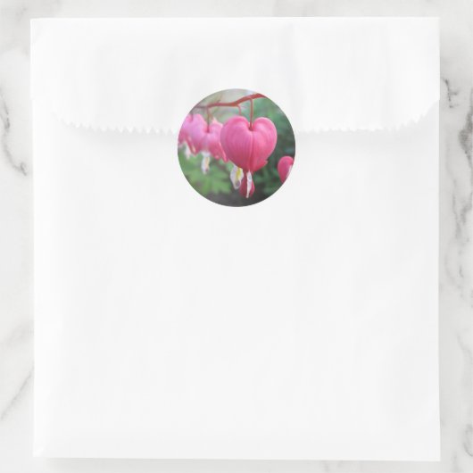 Sticker Rond Coeur saignant (Dicentra) (Sac)