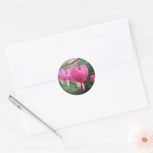 Sticker Rond Coeur saignant (Dicentra) (Enveloppe)