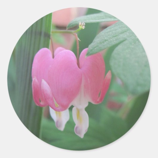 Sticker Rond Coeurs Saignants~ Deux Coeurs Comme Un (Devant)