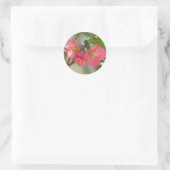 Sticker Rond Cognassier à Fleurs Roses Glow (Sac)